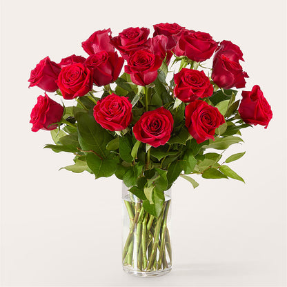 The One Red Rose Bouquet –  The Whiting Flower Shop, Whiting IN