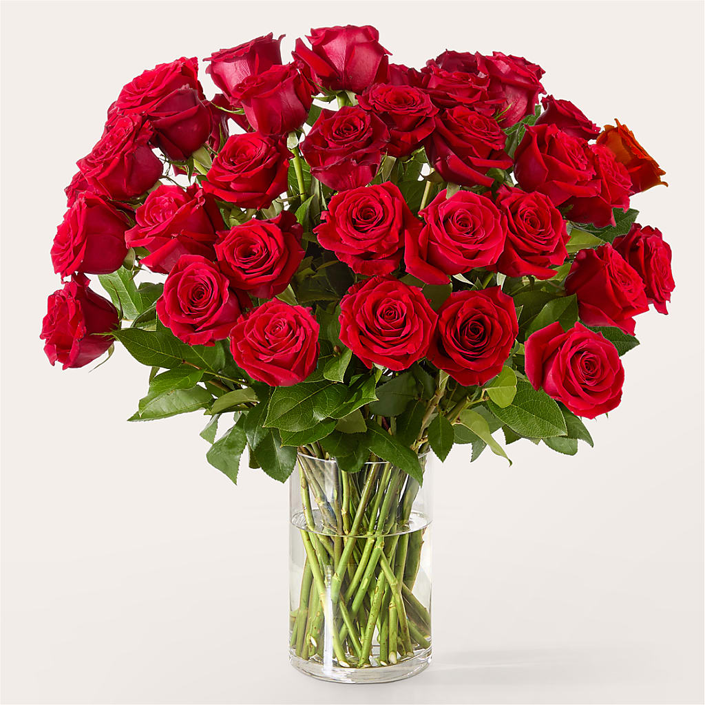The One Red Rose Bouquet –  The Whiting Flower Shop, Whiting IN