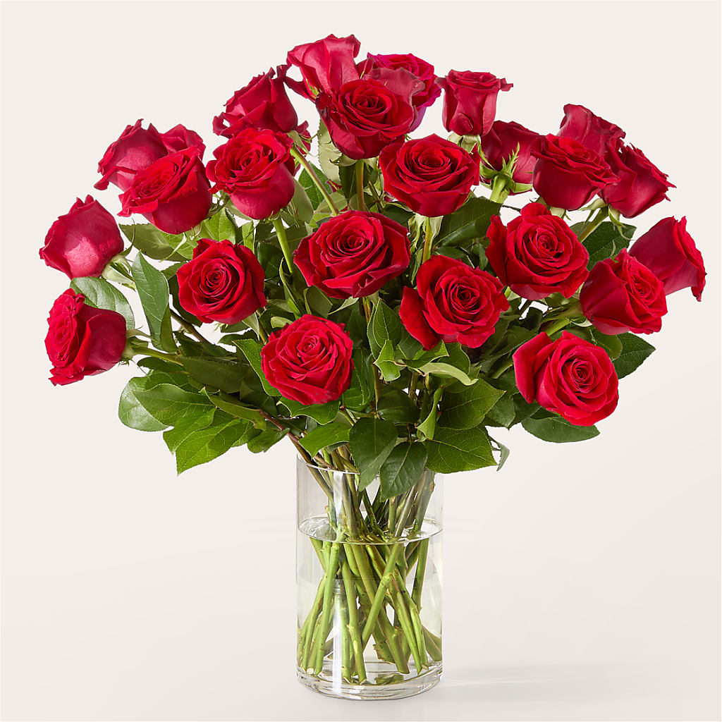 The One Red Rose Bouquet –  The Whiting Flower Shop, Whiting IN